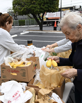 Free Kosher Food Distribution Drive-Thrus Continue