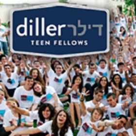 Apply for Diller Teen Fellows