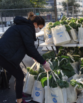 One Year Later, Free Kosher Food-Drive Continues