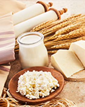 Shavuot Celebration and Learning With Mishkan Miami and Refuat HaNefesh