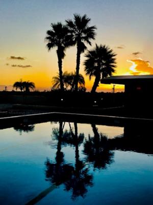 JFE MIAMI: Startup & Tech Mixer