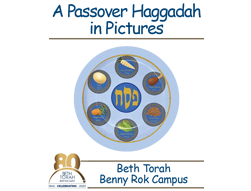 Passover Experience for Adults With Special Needs