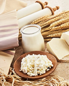 Welcome Shavuot With Mishkan Miami